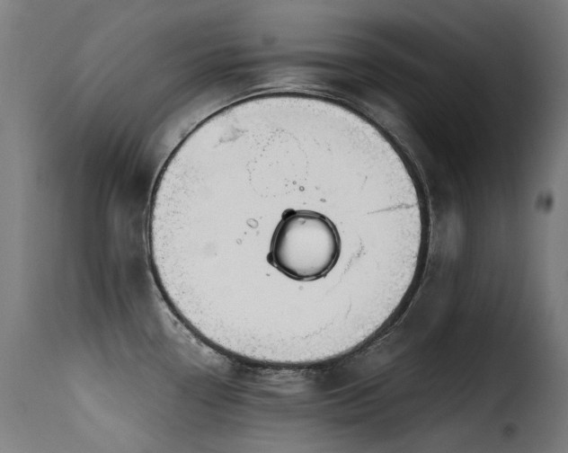 X0000116161338200911231356