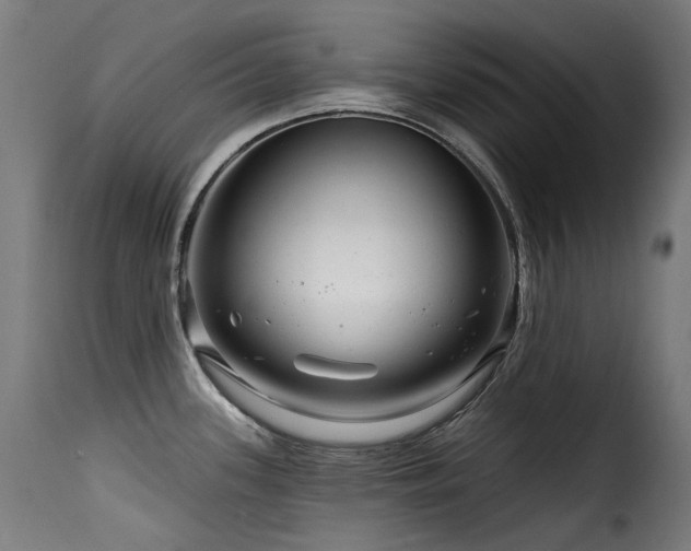 X0000116161339200911231356