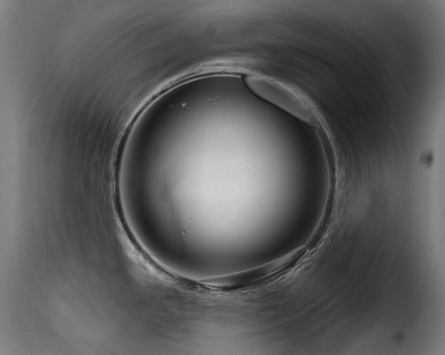 X0000116161341200911231356