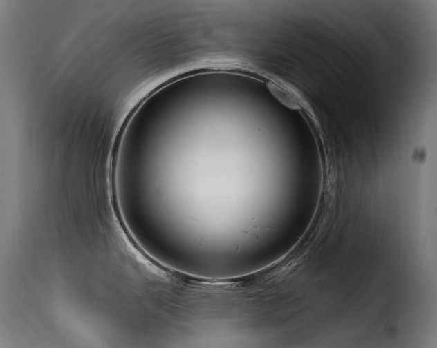 X0000116161343200911231356