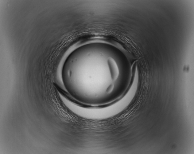 X0000116161345200911231355
