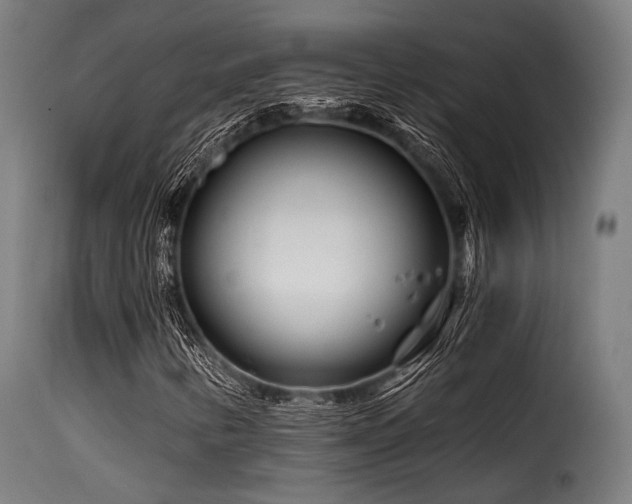 X0000116161346200911231355