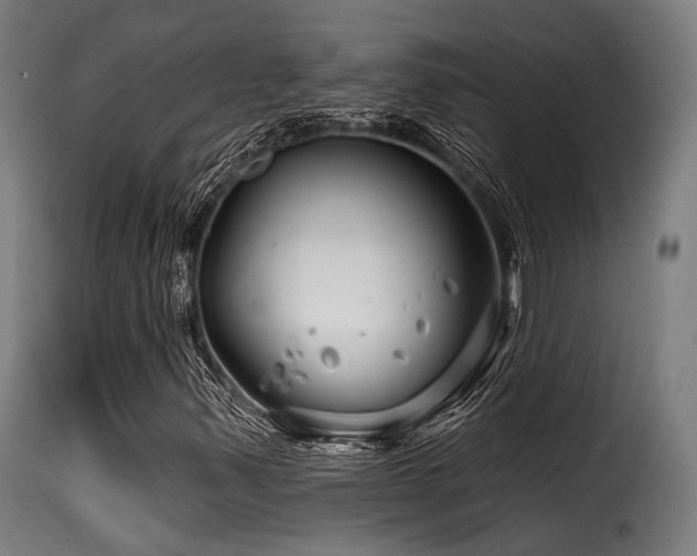 X0000116161347200911231355
