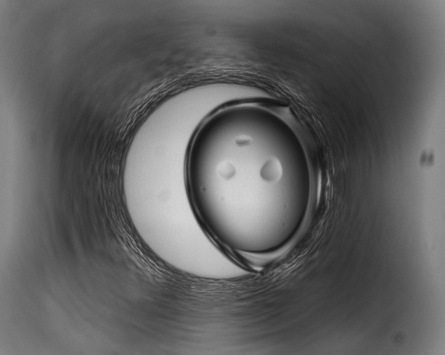 X0000116161348200911231355