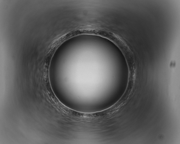 X0000116161350200911231355