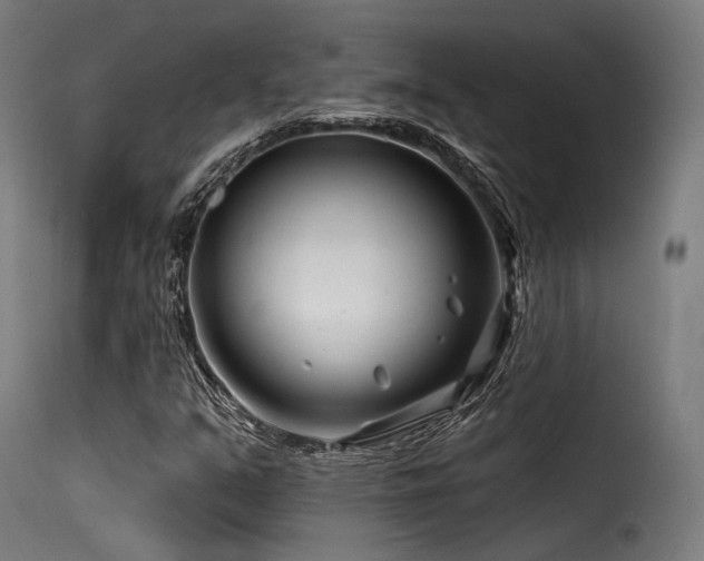 X0000116161351200911231355