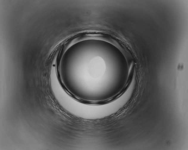 X0000116161352200911231355