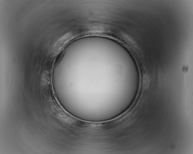X0000116161353200911231355