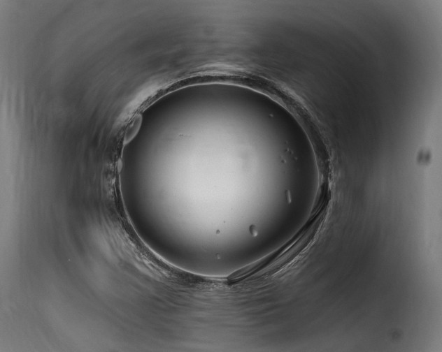 X0000116161355200911231355