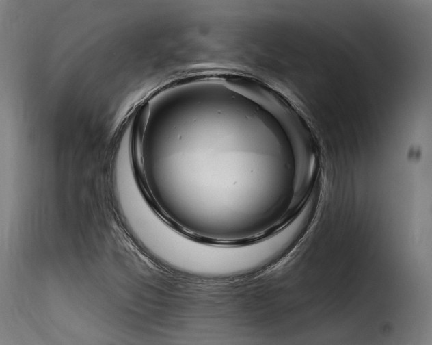 X0000116161357200911231355