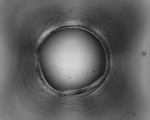 X0000116161358200911231355