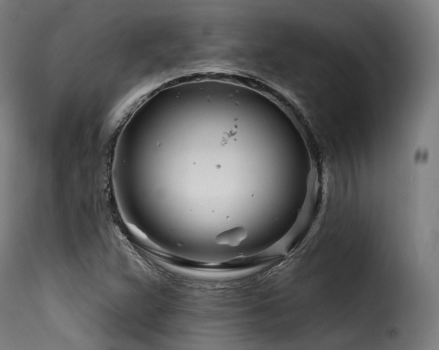 X0000116161359200911231355