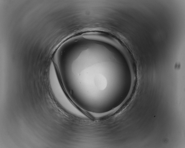 X0000116161361200911231355
