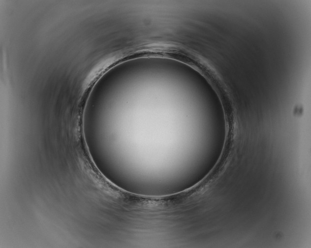 X0000116161362200911231355