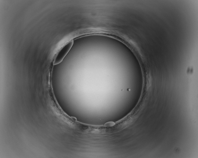 X0000116161365200911231355