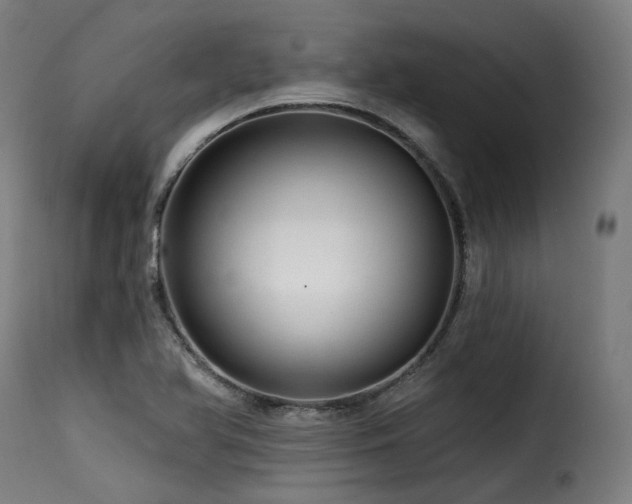 X0000116161366200911231355