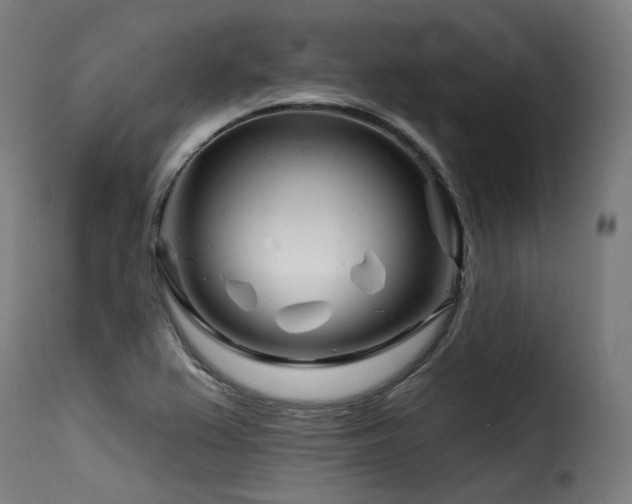 X0000116161367200911231355