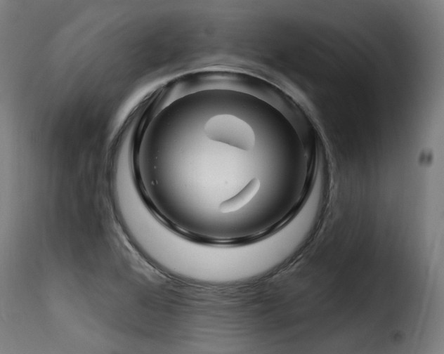X0000116161368200911231355