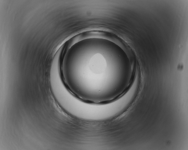 X0000116161369200911231355
