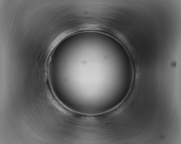 X0000116161370200911231355