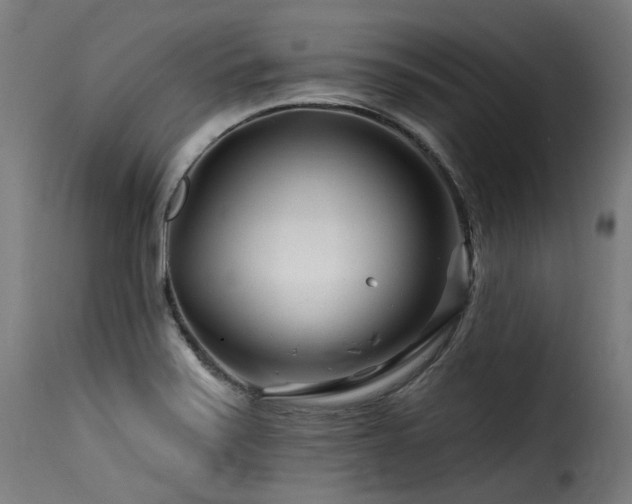 X0000116161371200911231355