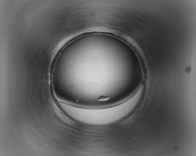 X0000116161372200911231355