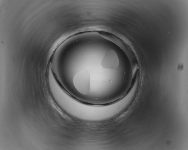 X0000116161373200911231355