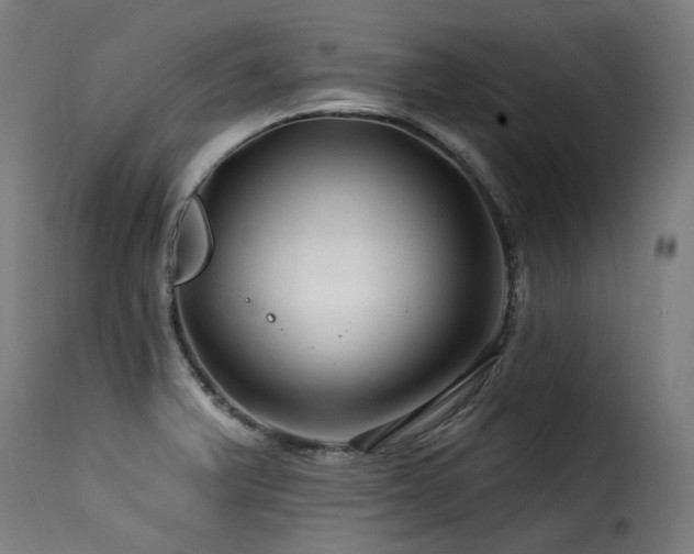 X0000116161375200911231355