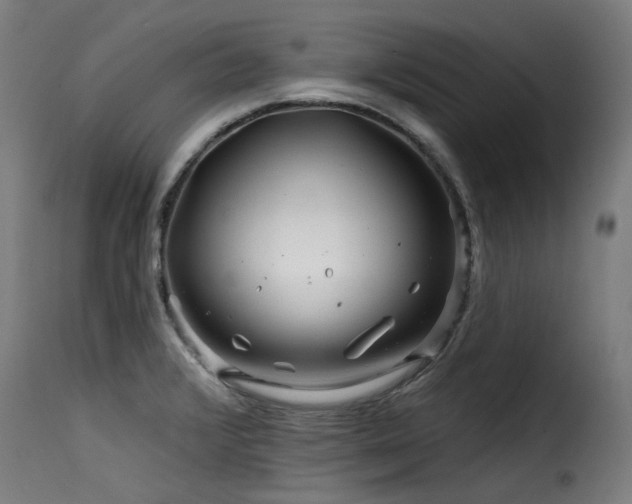 X0000116161376200911231355