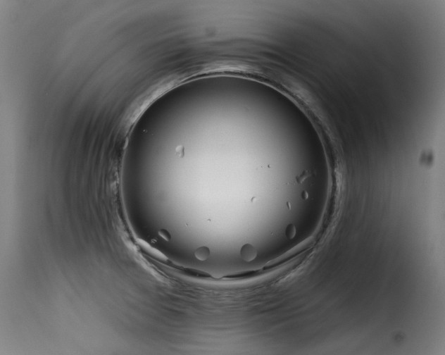 X0000116161377200911231355