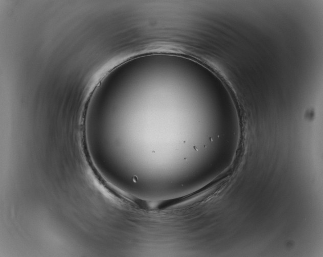 X0000116161379200911231355