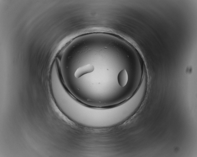 X0000116161381200911231355
