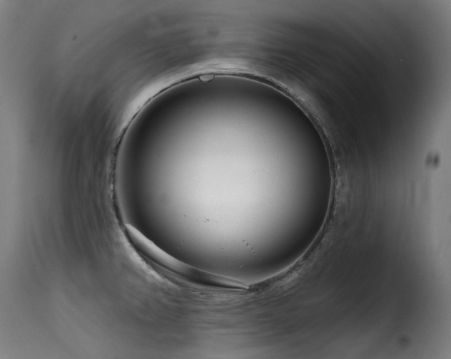 X0000116161382200911231355