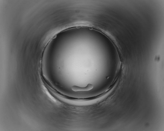 X0000116161383200911231355