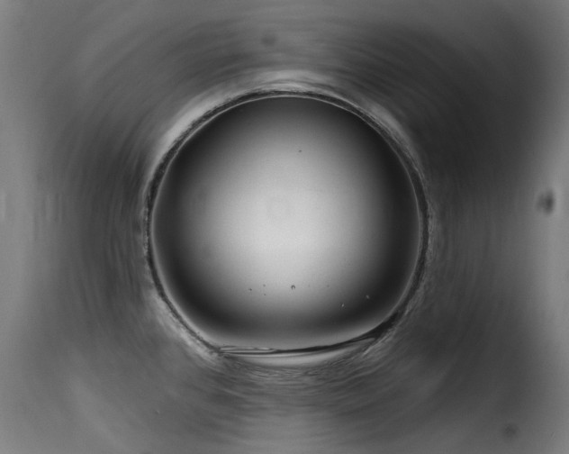 X0000116161384200911231355