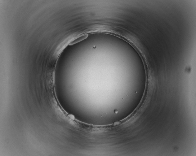 X0000116161385200911231355