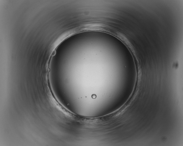 X0000116161386200911231355