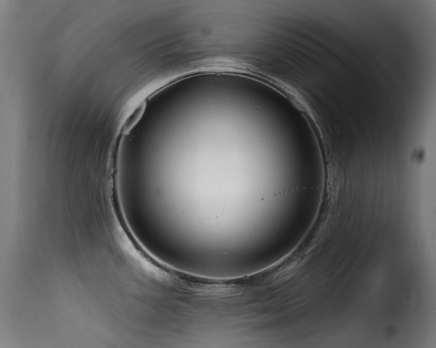 X0000116161387200911231354
