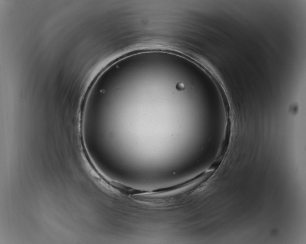 X0000116161388200911231354