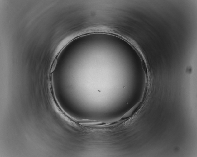 X0000116161389200911231354