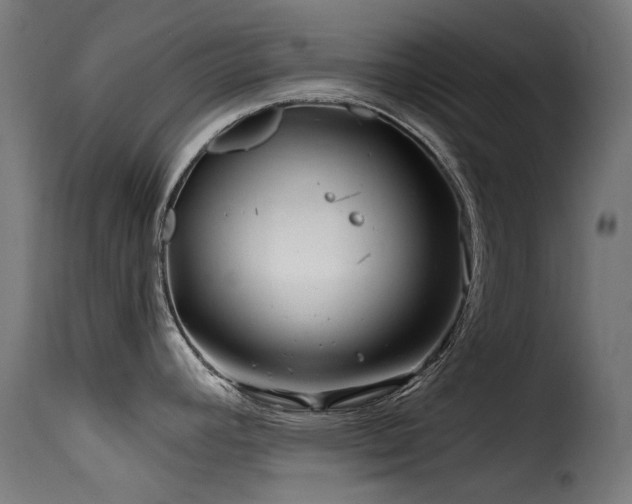 X0000116161392200911231354