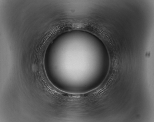 X0000116161393200911231354