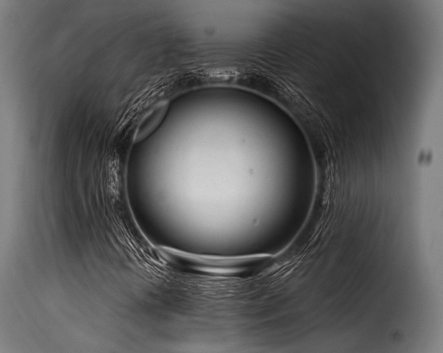 X0000116161394200911231354