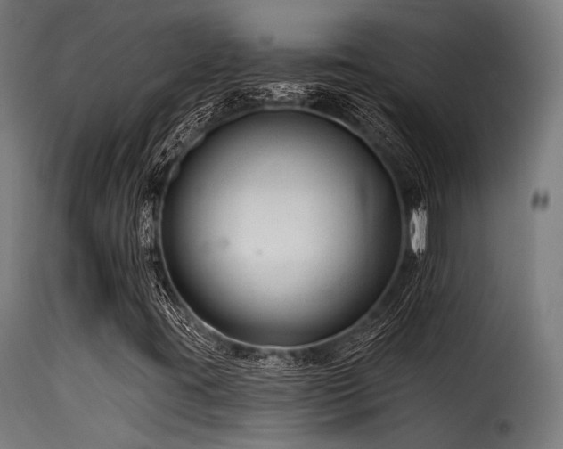 X0000116161395200911231354