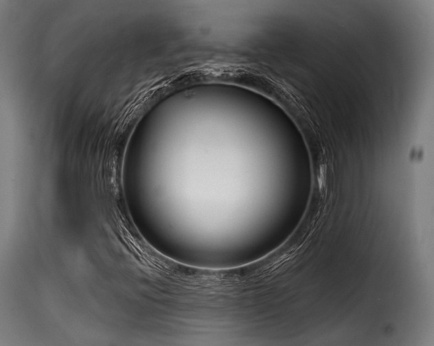 X0000116161396200911231354