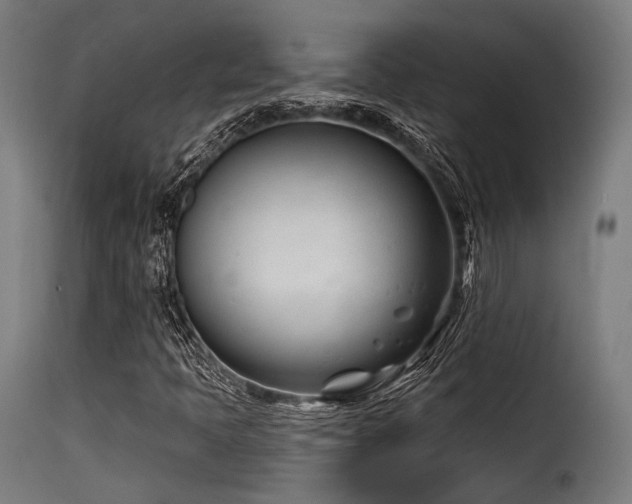 X0000116161397200911231354