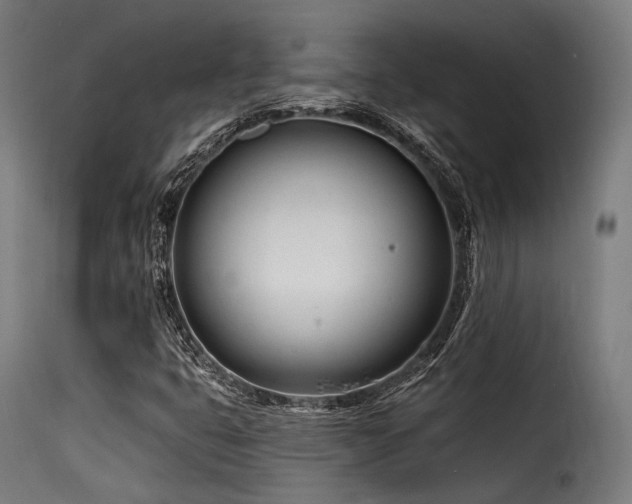 X0000116161399200911231354