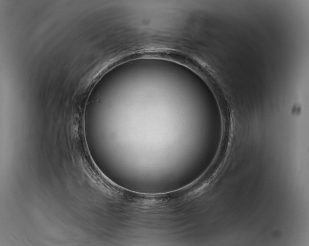 X0000116161401200911231354
