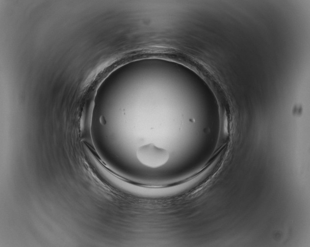 X0000116161402200911231354