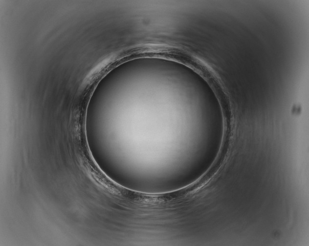 X0000116161403200911231354